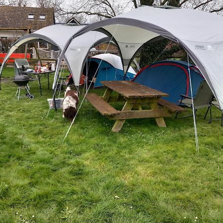 Basic 2P Tent Sotterum 호텔 Kornwerd 외부 사진