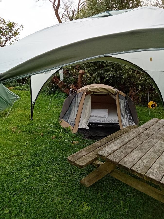 Basic 2P Tent Sotterum 호텔 Kornwerd 외부 사진