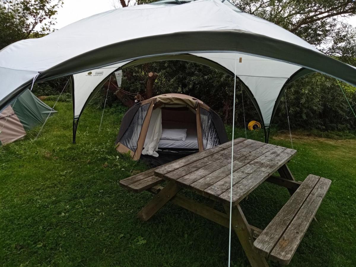 Basic 2P Tent Sotterum 호텔 Kornwerd 외부 사진