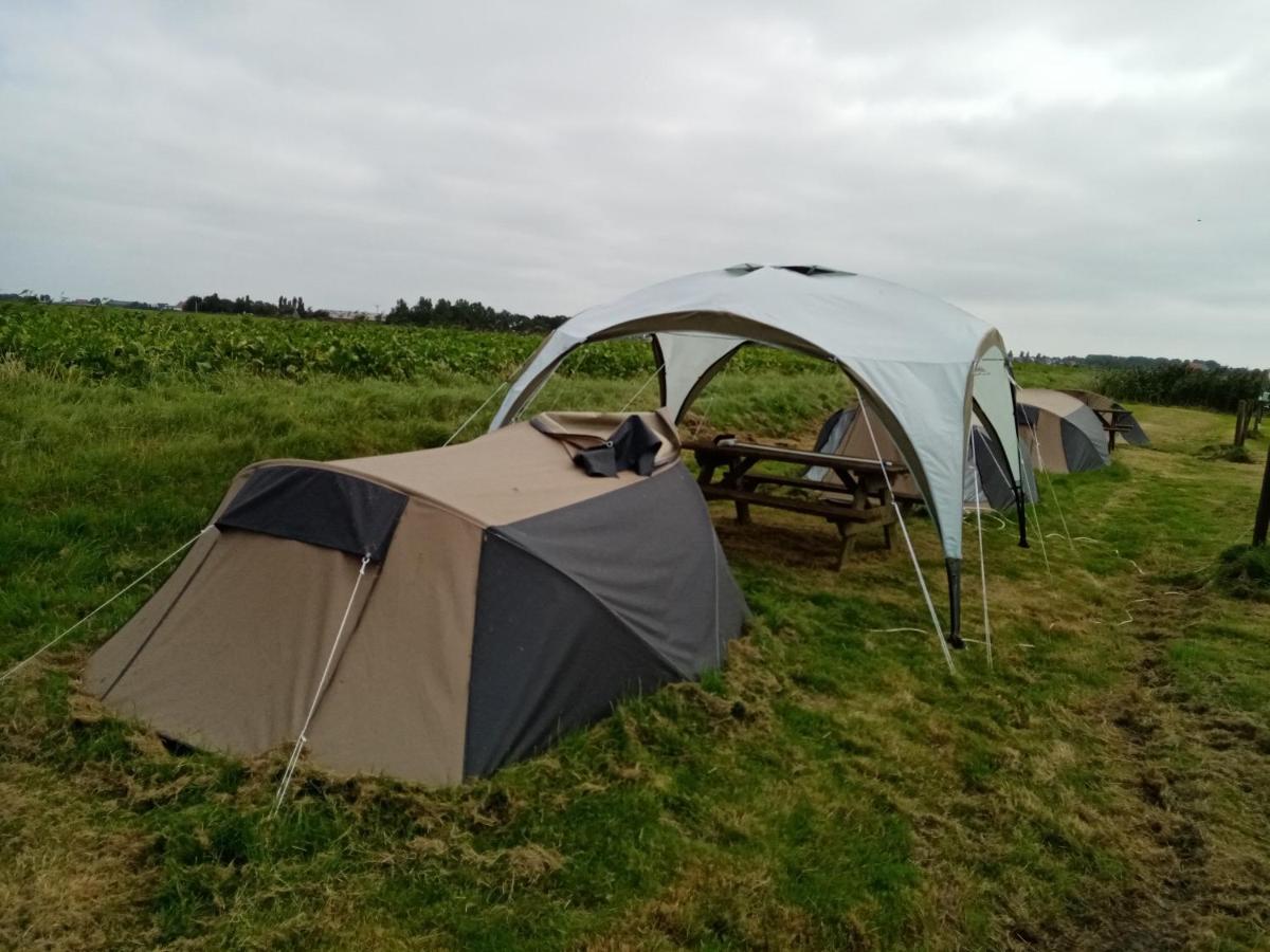 Basic 2P Tent Sotterum 호텔 Kornwerd 외부 사진